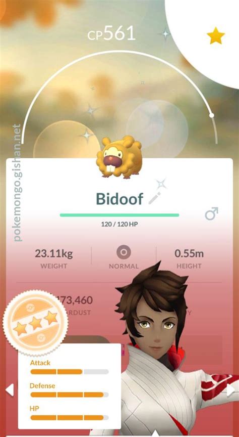 Bidoof - Pokemon Go