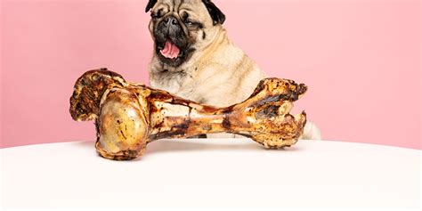 Are Dog Bones Safe For Dogs to Eat – Do's & Don'ts