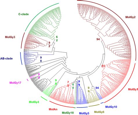 Phylogenetic Relationships Of Gypsy Retrotransposons The Tree Is Based