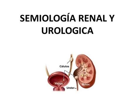 Semiología Renal Y Urologica