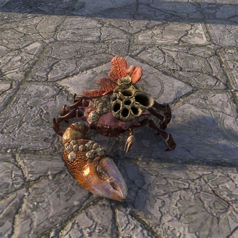 Onlinebarnacle Back Coral Crab The Unofficial Elder Scrolls Pages Uesp