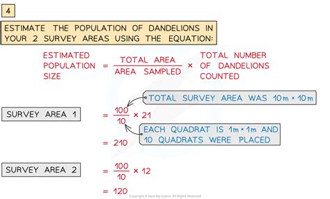 Practical Investigating Population Size 4 2 Edexcel Igcse Biology Double Science Revision