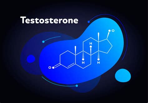 210 Increase Testosterone Illustrations Royalty Free Vector Graphics