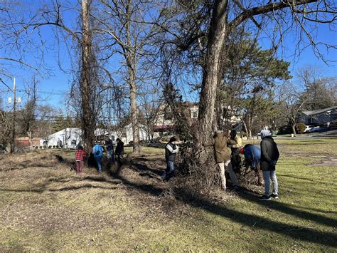 invasive vines - THE RIDGEWOOD BLOG.