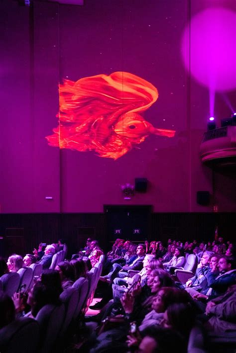 IMMERSIVE EXPERIENCES ARRIVE AT CALLAO CINEMAS - Callao City Lights