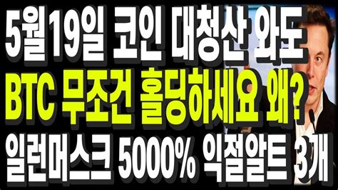 비트코인 리플 도지코인 이더리움 5월19일 코인 대청산 와도 Btc 무조건 홀딩하세요 왜 일런머스크 5000 익절알트 3개