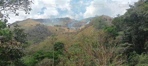 Crimen Ambiental Incendio Arrasa La Fauna Y Flora En La Sierra De