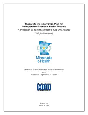 Fillable Online Health State Mn Hit Implementation Plan Minnesota