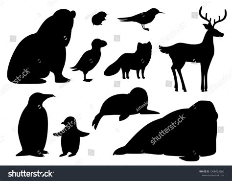 Black Silhouette Set Arctic Animals Icon Stock Vector (Royalty Free ...