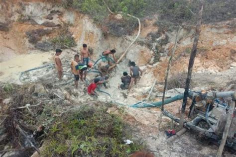 Tiga Pekerja Tambang Ilegal Kalteng Tewas Tertimbun Longsor