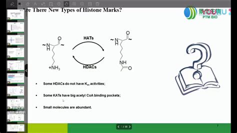 Nature重大突破！全新组蛋白乳酸化 Youtube