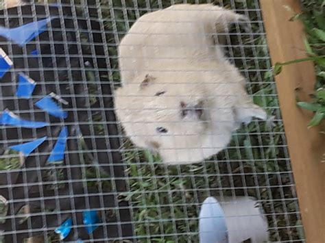 I got caught doing something. Blank Template - Imgflip