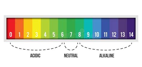 Diagramma Della Scala Di Ph Con La Corrispondenza Valori Acidi O