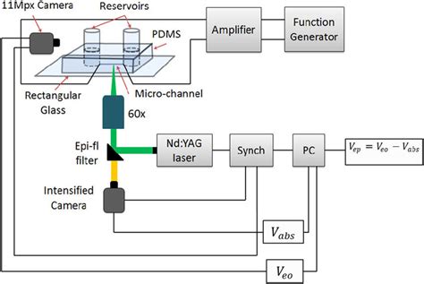 Schematic Of The Setup For Simultaneous Particle And Flow Velocity