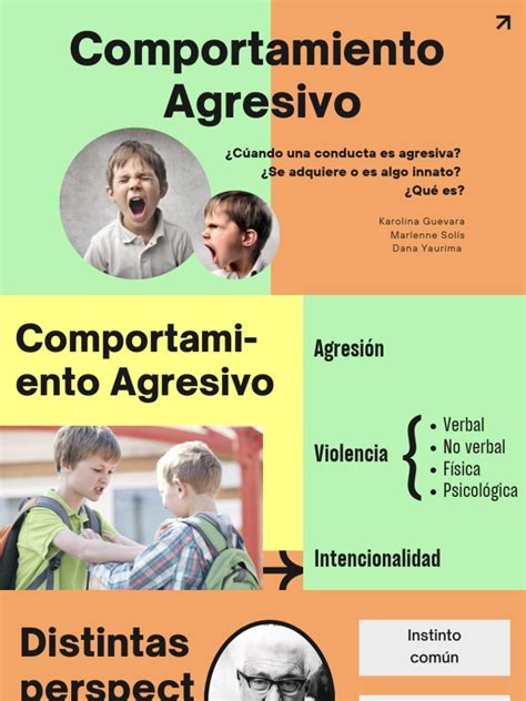 Comportamiento Agresivo Pdf Sicología Comportamiento