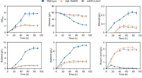 Cell Growth And Fermentation Product Formation In Batch Cultures Of C