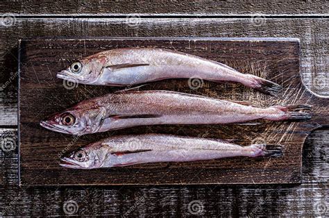 Fresh Silver Hake Stock Image Image Of Fresh Rustic 235294223