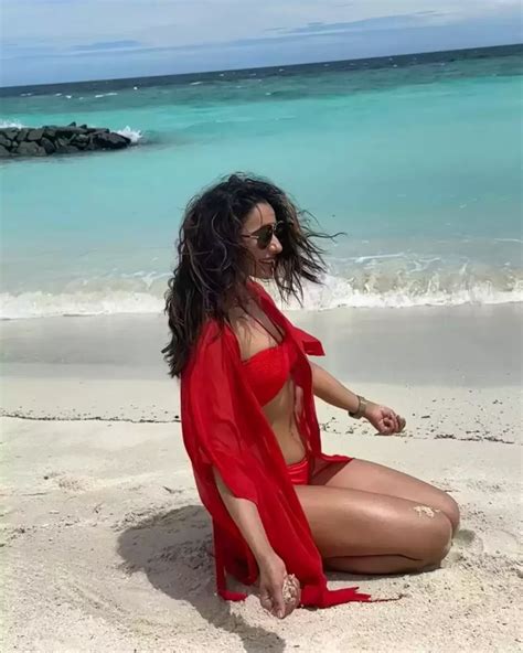 Rakul Preet Singh Flaunts Her Curves In Bikini The Live Ahmedabad