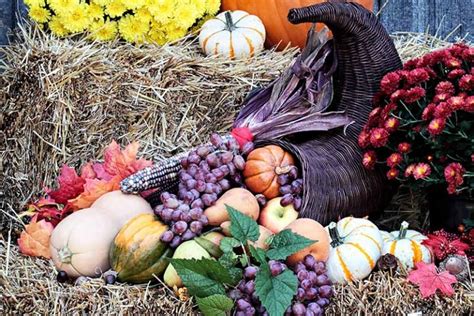 Fall Garden Decor Tips and Ideas | Gardener’s Path