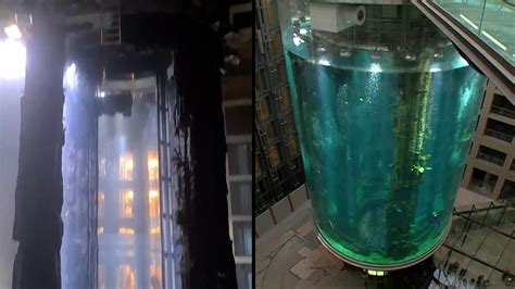 Video Berlin Aquarium Housing 1500 Fish Bursts Cnn Video