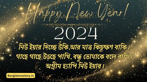 হ্যাপি নিউ ইয়ার 2024 শুভেচ্ছা বার্তা এসএমএস ক্যাপশন ও ছবি