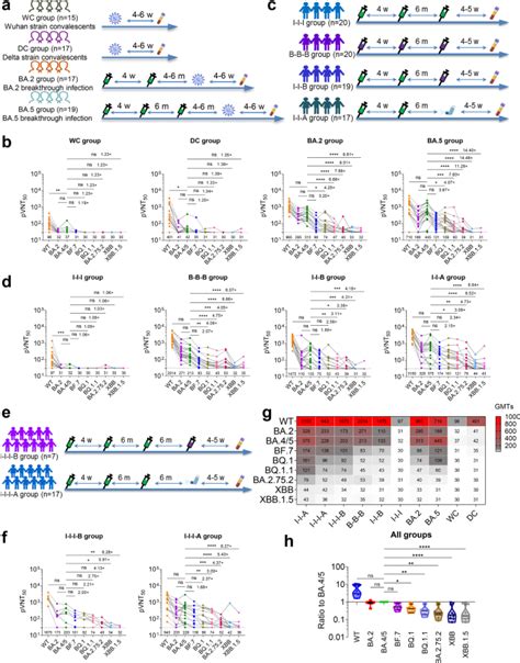 Antigenic Characterization Of Sars Cov Omicron Subvariants Xbb