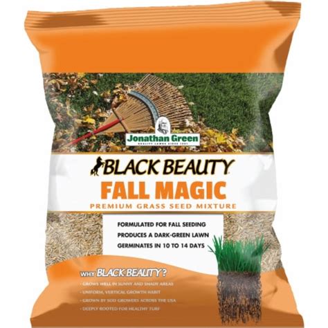 Jonathan Green Black Beauty 7 Lb 1750 Sq Ft Coverage Sun And Shade Grass Seed 1 Fred Meyer