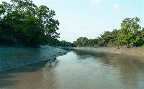 The Sundarbans World Heritage Site In Bangladesh Stock Photo Image Of