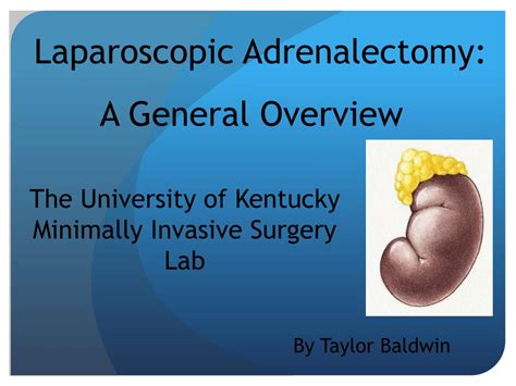 Ppt Laparoscopic Adrenalectomy Powerpoint Presentation Free