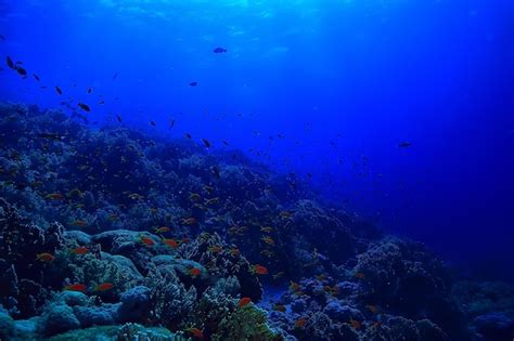 Premium Photo Coral Reef Background Underwater Marine Life Ecosystem