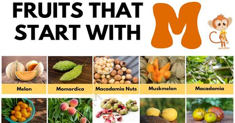 53 Yummy Examples Of Fruits That Start With M 7ESL