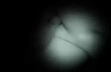 Real Gay Homemade Sex English Man Man Porn XHamster