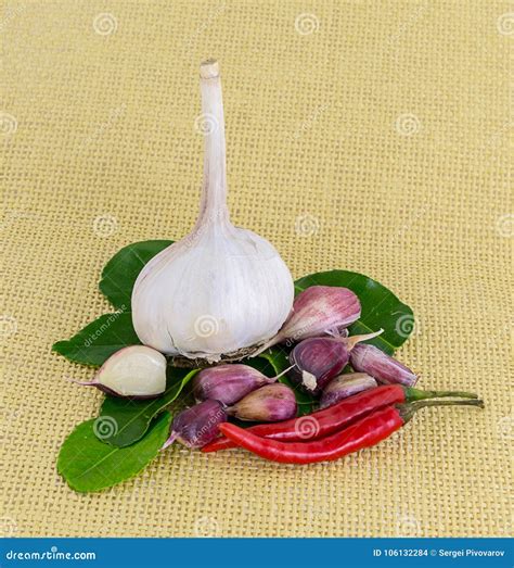 Garlic Pod Of Red Pepper Chili Hot Sauce Ingridenty Adjika On A Background Of Green Leaves And