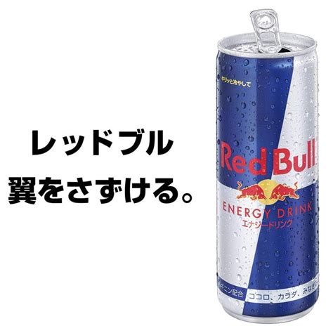 レッドブル エナジードリンク 250ml ×24本 送料無料 4884 クイックファクトリー 通販 Yahooショッピング