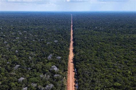 Autopista Amazonas Brasil Impulsa Una Gran Carretera Que Partir El