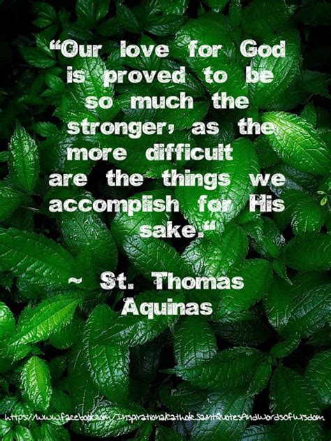 Pin By Theresa Hartman On Catholic Spirituality Saint Quotes Catholic