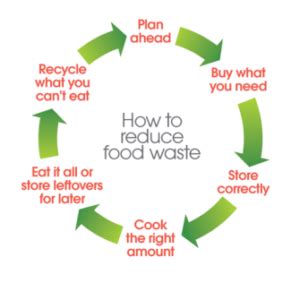 Ten Easy Ways To Minimize Food Waste In Your Business