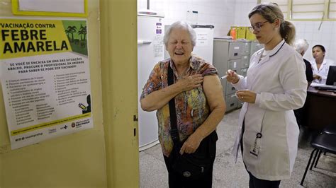 Alerta Por Fiebre Amarilla Misiones Y Corrientes Activaron Protocolos Sanitarios Por Un Mono