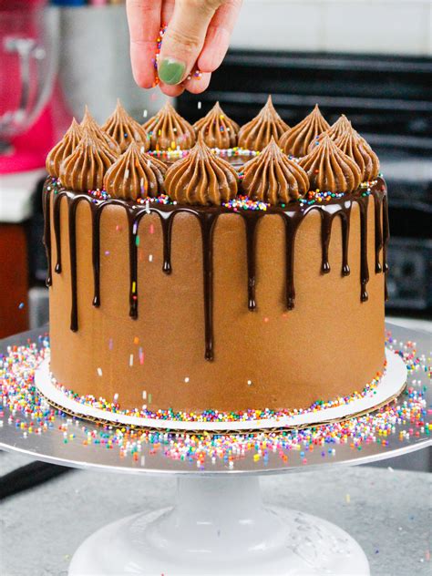 Chocolate Cake With Rainbow Sprinkles