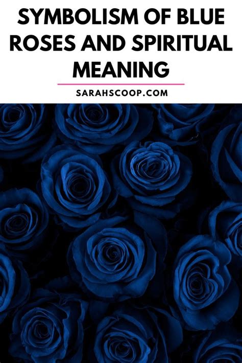 Symbolism Of Blue Roses And Spiritual Meaning Sarah Scoop