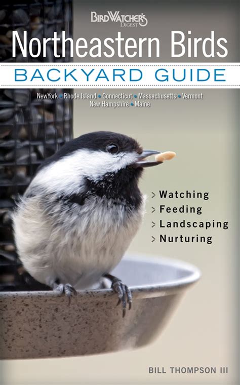 Northeastern Birds by Bill Thompson | Quarto At A Glance | The Quarto Group