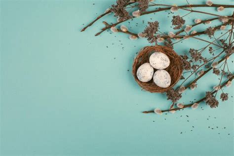 Premium Photo Easter Holiday Background Nest With Small Eggs Branches Of Pussy Willow