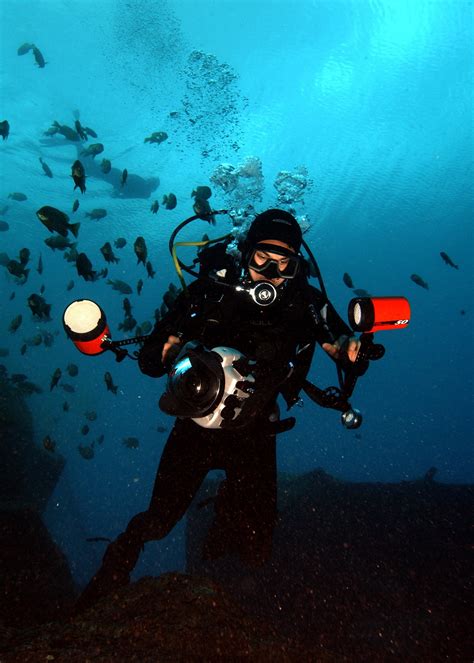 Kostenlose Foto Meer Wasser Natur Ozean Kamera Tauchen Biologie