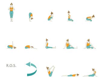 Vinyasa Yoga Sequences - Foundational Sequences for Yoga Teachers ...