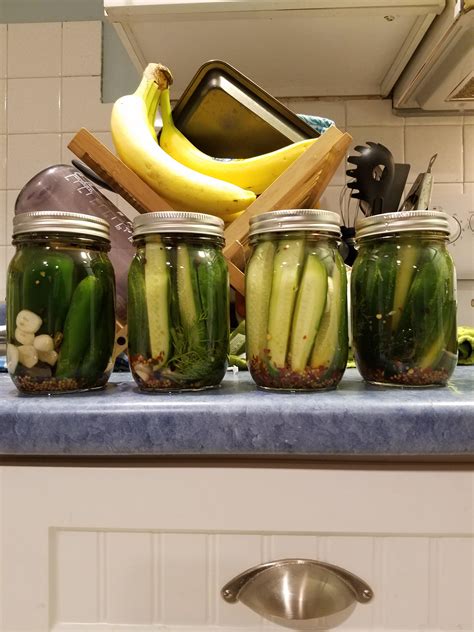 First time pickling and canning! Made 3 jars of extra flavor extra
