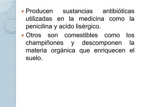 Reino Protista Y Fungi PPT