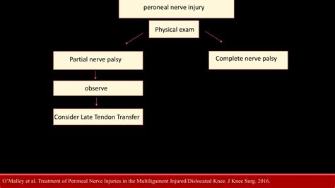 Ppt Neurovascular Assessment And Imaging Powerpoint Presentation