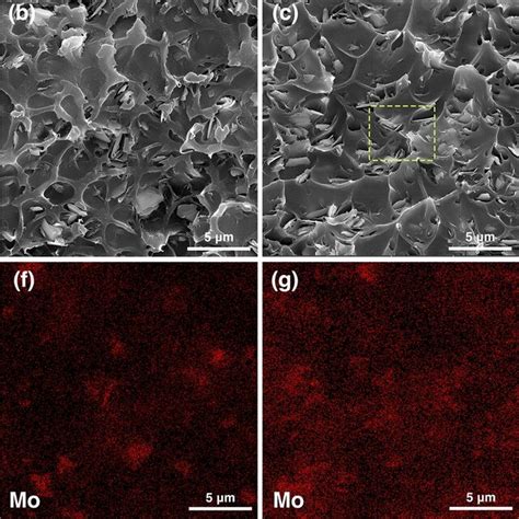 SEM Images And EDS Elemental Mapping Mo Of Cross Sectional Areas Of