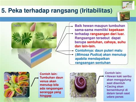 Ipa Terpadu Materi Pendahuluan Ciri Ciri Makhluk Hidup Rev Ed Ppt