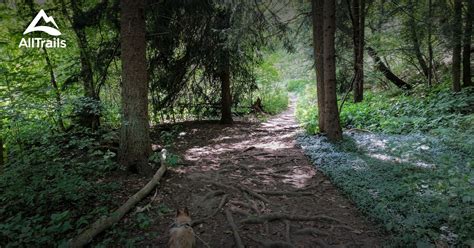 10 Best hikes and trails in Raccoon Creek State Park | AllTrails